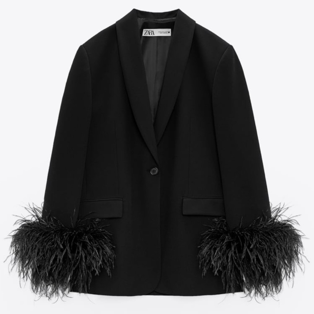 Zara Feather Trim Pocket Blazer
